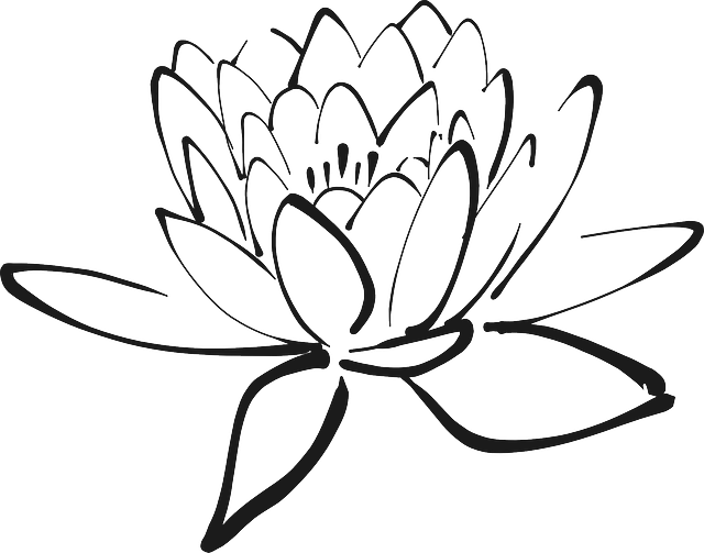 Lotus Clipart Chakra - Png Download (640x503), Png Download
