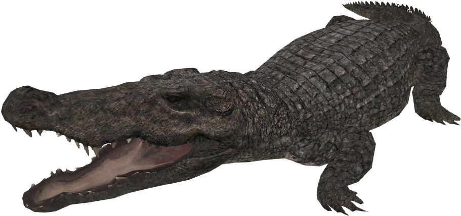 Snap Mugger Crocodile Creatures Of The World Wikia Clipart (950x950), Png Download