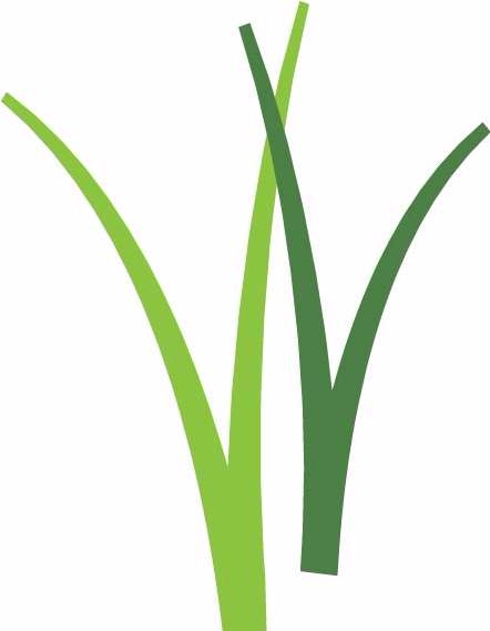 "the Most Beautiful Thing We Can Experience Is The Clipart (568x568), Png Download