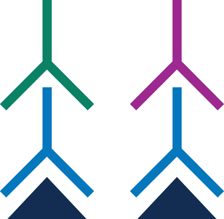 Incubate With Near-infrared Fluorescent Secondary Antibodies Clipart (718x700), Png Download