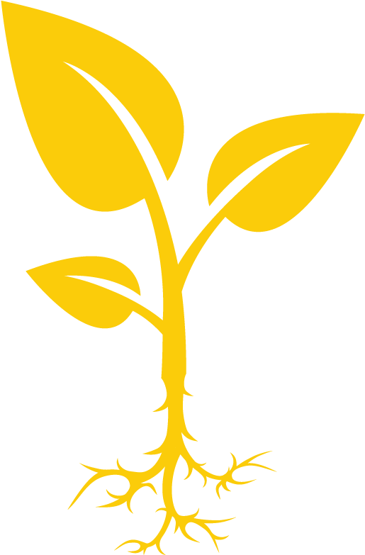 Native And Endangered Trees Planted Clipart (800x800), Png Download