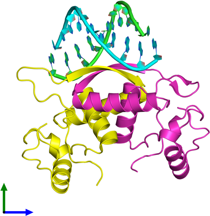 Pdb 1mjm Coloured By Chain And Viewed From The Front Clipart (800x800), Png Download