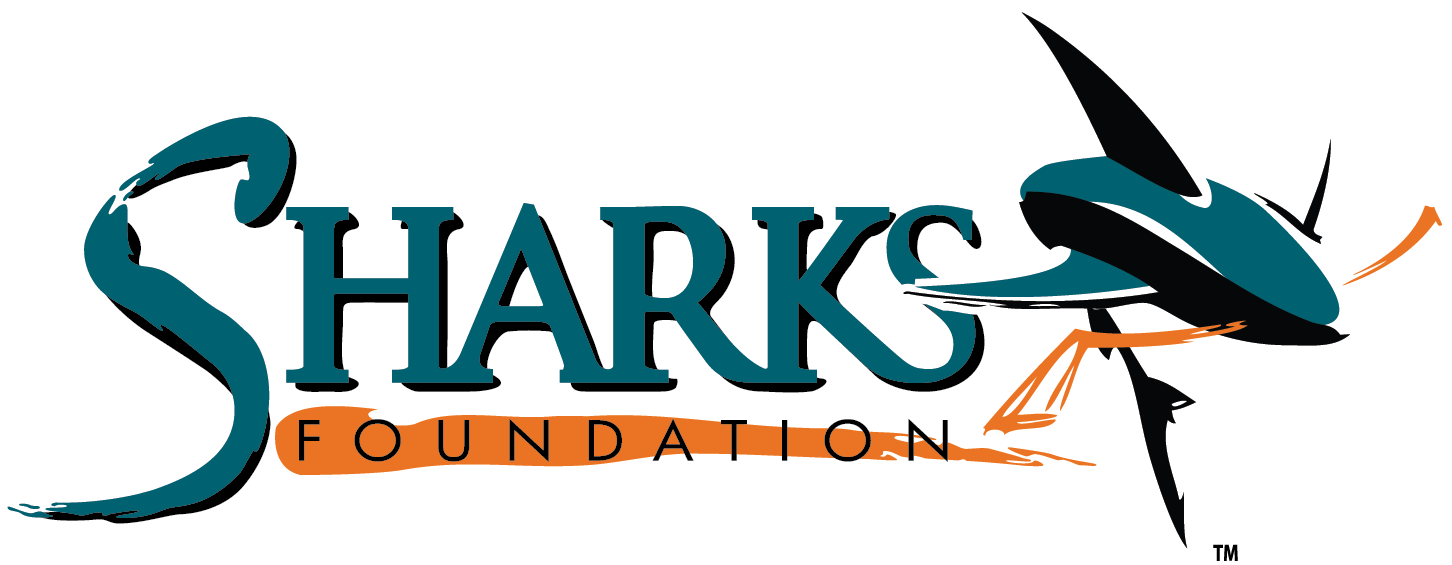 Sharks Foundation In-game Auction Clipart (1500x634), Png Download