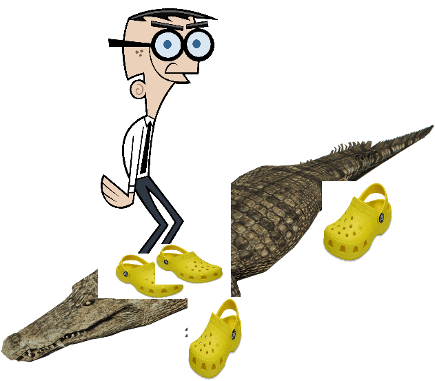 Crocker Wearing Crocs On A Crocodile Wearing Crocs Clipart (1080x672), Png Download