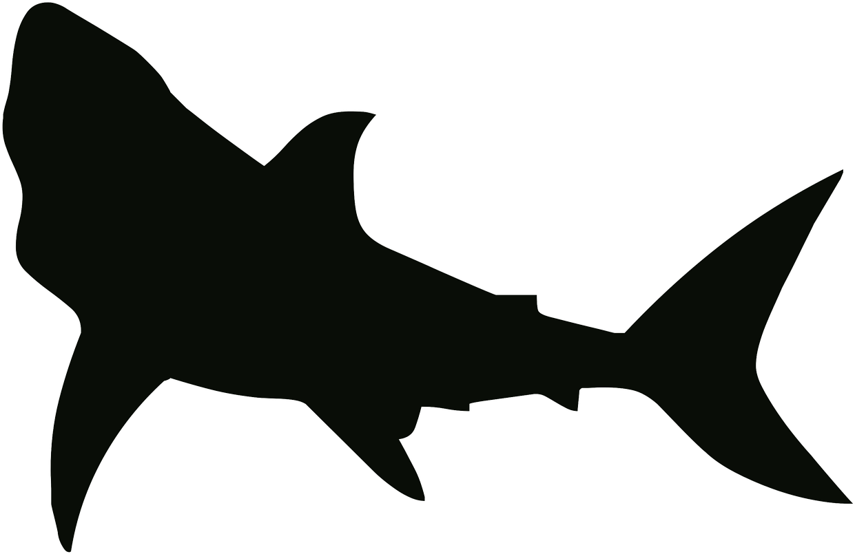 Silhouette Drawing Outline Shark Png Image Clipart (1280x846), Png Download