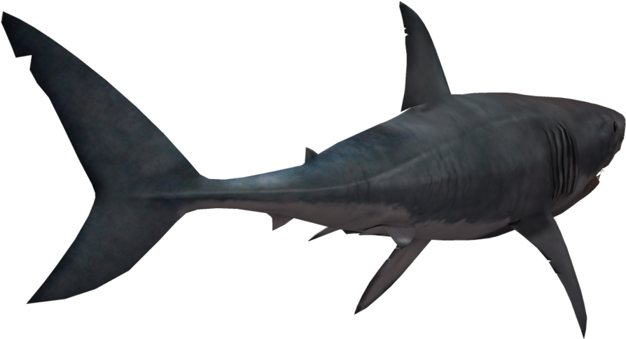 Great White Shark Clipart Outline - Png Download (1024x639), Png Download