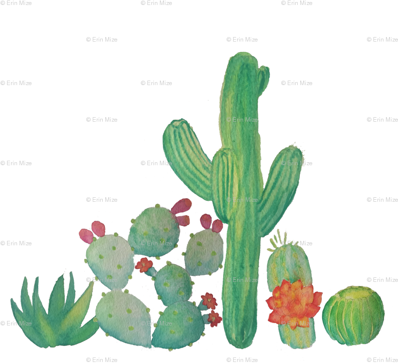 Banner Freeuse Download Cacti Fabric Erinmizedesigns Clipart (825x825), Png Download