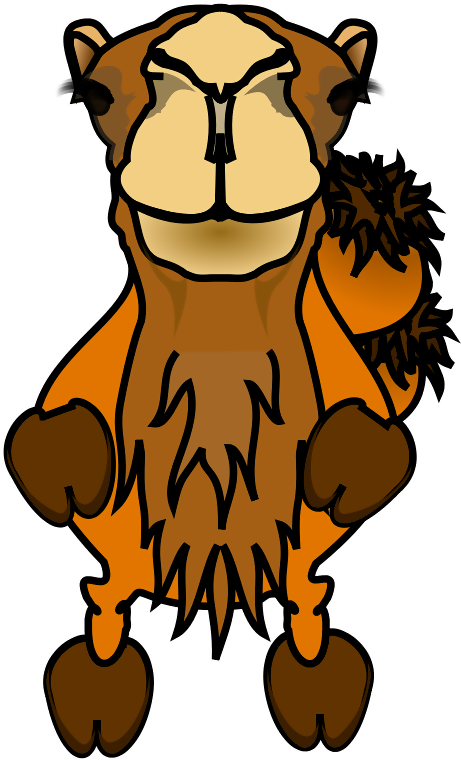 Camel Photographer Shower Curtain , Png Download Clipart (461x760), Png Download