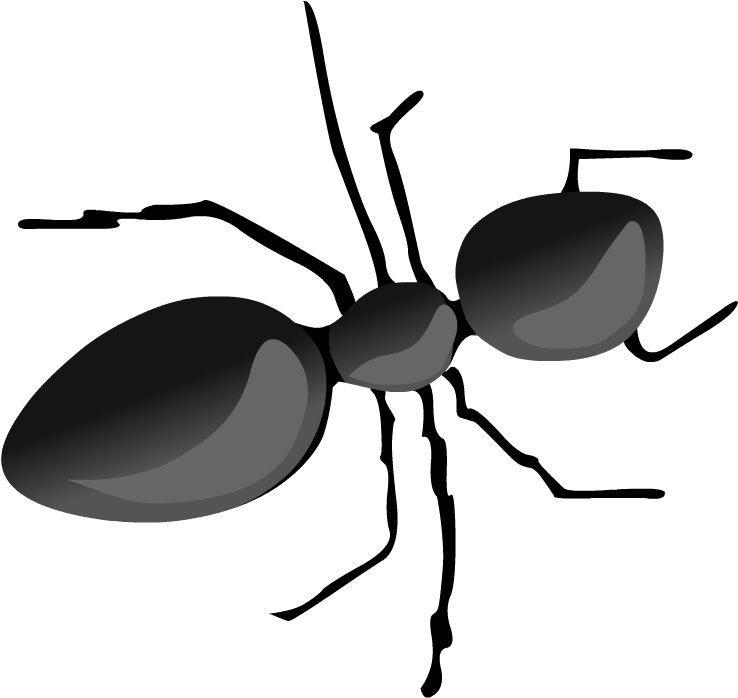 Ants Clipart (880x880), Png Download
