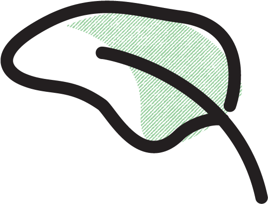 Grape Sorbet Clipart (1280x800), Png Download