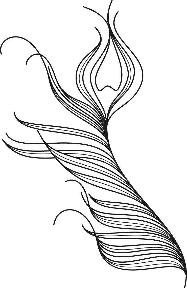 Karin Funk Clipart (740x1137), Png Download