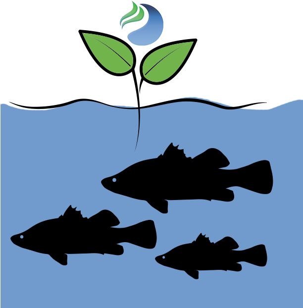 Eco-friendly Poissons Avantages Bulles Clipart (611x670), Png Download