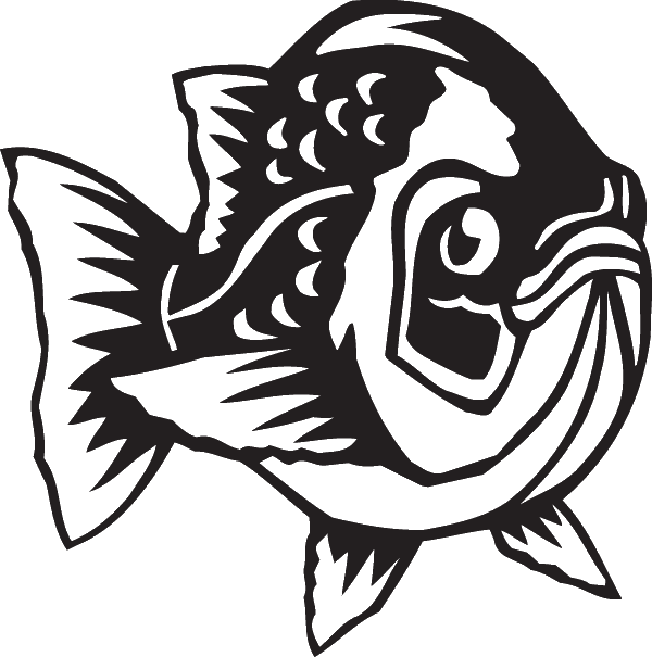Crappie Drawing School Clipart (600x605), Png Download