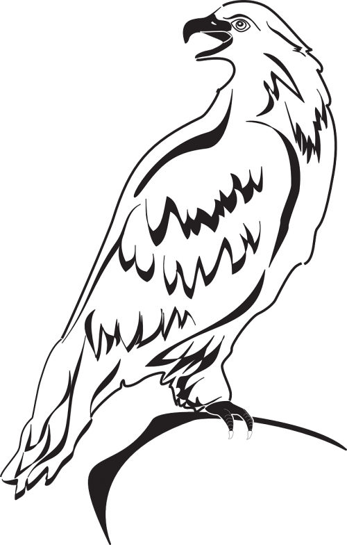 Eagle Wings Spread Clipart - Png Download (500x784), Png Download