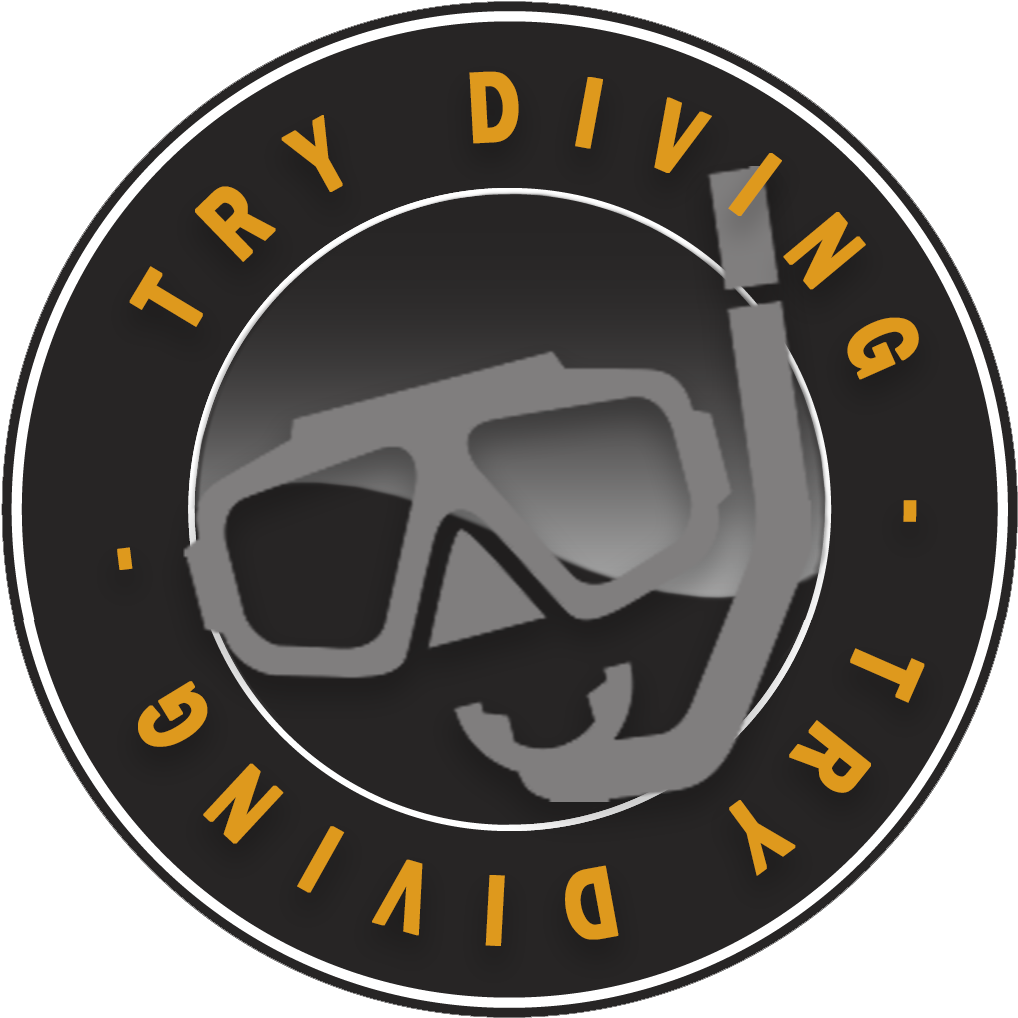 Try Diving Clipart (1181x1181), Png Download