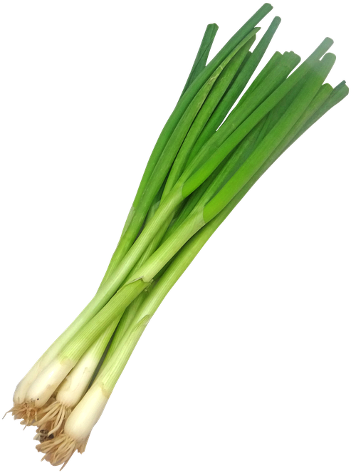 Leek Png Clipart (563x720), Png Download