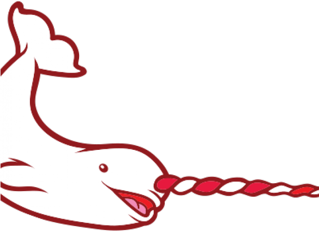 Narwhal Clipart Team - Png Download (640x480), Png Download