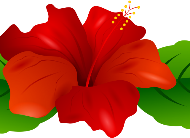 Small Clipart Hibiscus Png Download Full Size Clipart 2459003 Pinclipart
