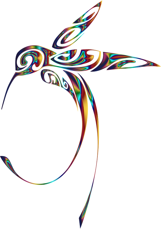 Ornamental Hummingbird Line Art Psychedelic Clipart (552x784), Png Download