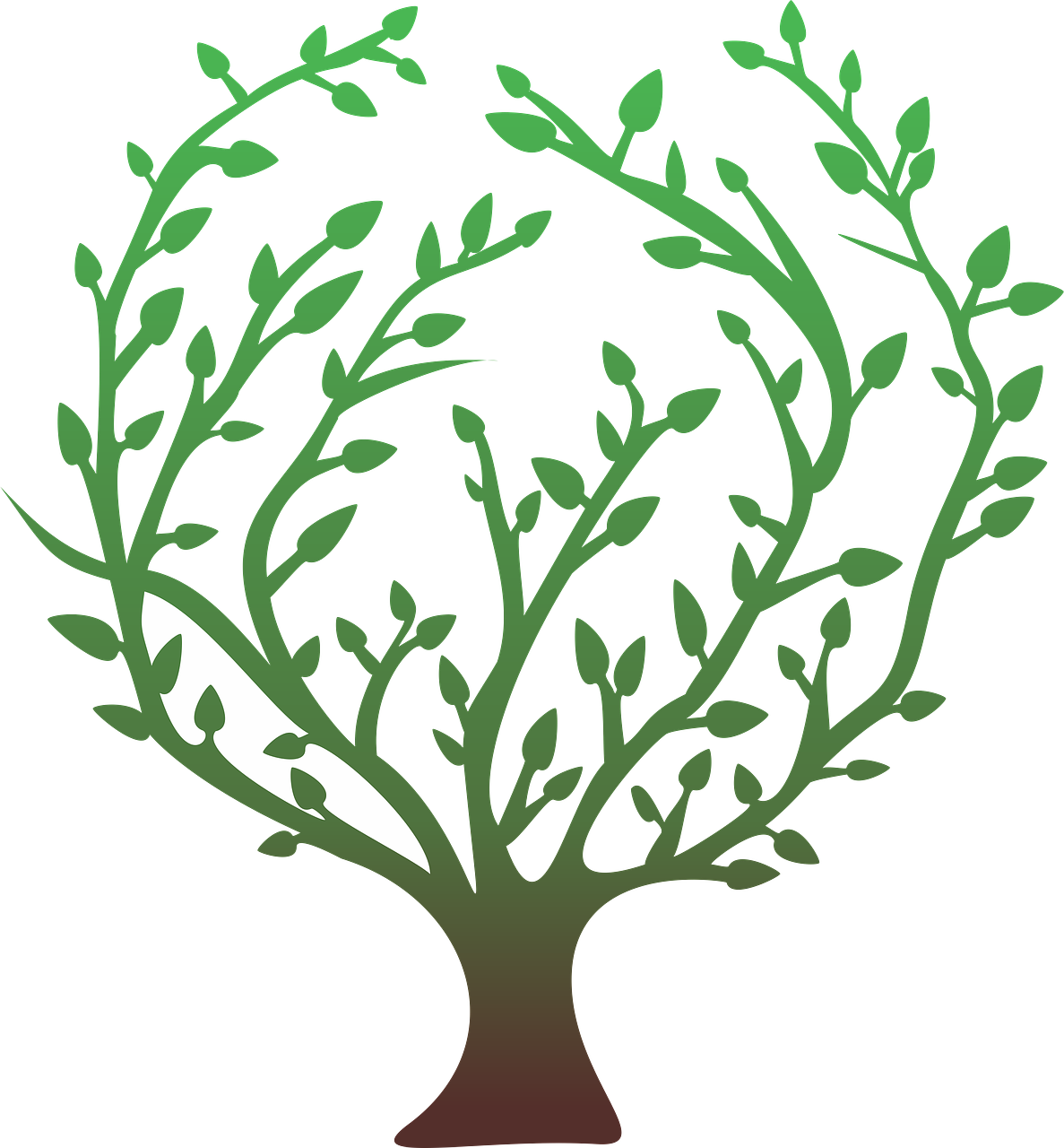Tree Green Nature Plant Leaves Png Image Clipart (1187x1280), Png Download
