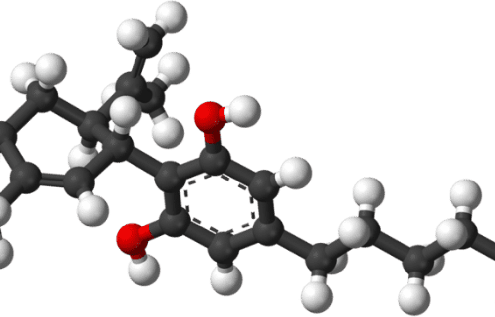 Cbd Join The “health Buzz” Without The “ Clipart (1000x766), Png Download