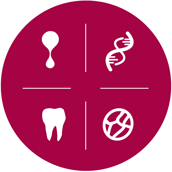 The Umbilical Cord Collection Process Clipart (600x600), Png Download