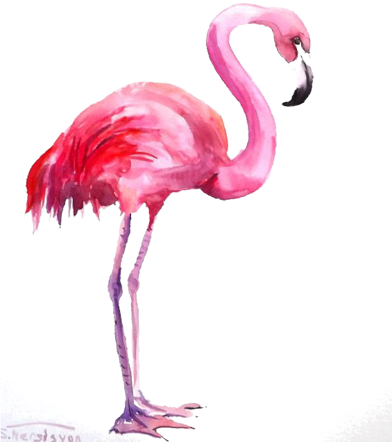 Flamingo Watercolor Painting Clipart (565x637), Png Download
