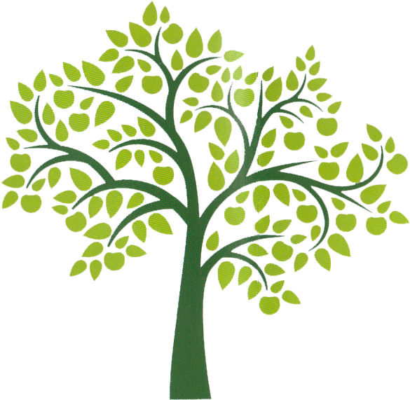 Rowan Tree Clip Art - Png Download (591x575), Png Download