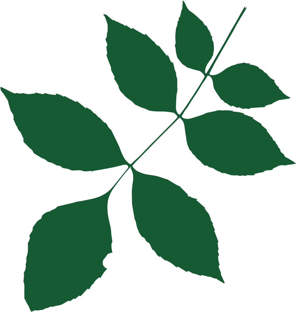 Ash Clipart (1417x1417), Png Download