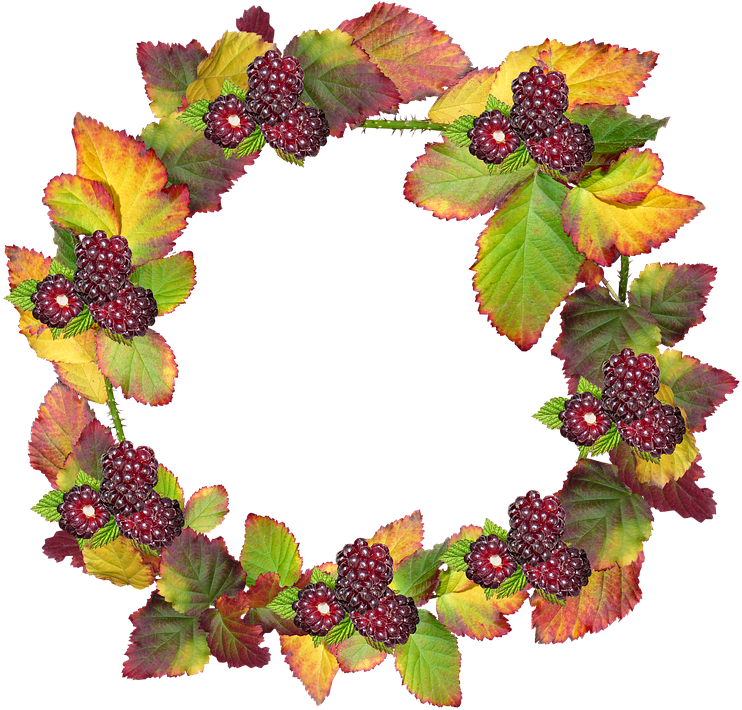 Free Photo Border Frame Clipart (771x720), Png Download