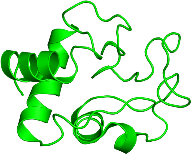 <div Class='caption-body'>1 Copy Of Scop Domain < Clipart (800x800), Png Download