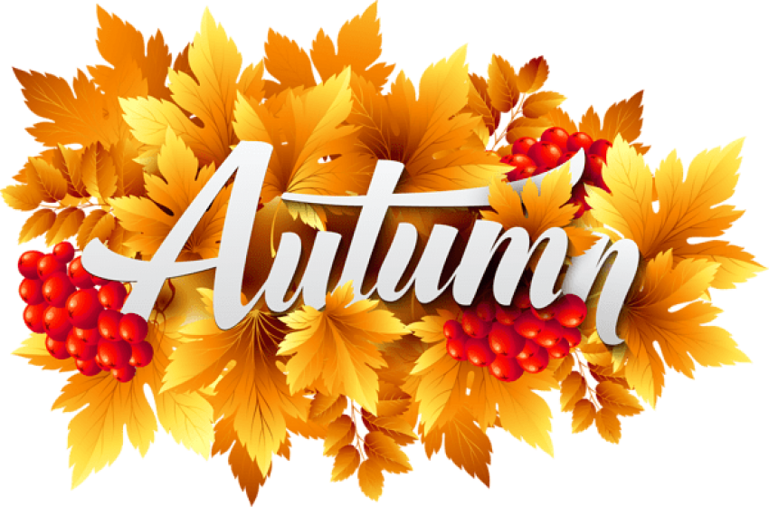 Download Autumn Decorative Clipart Png Photo Transparent Png (850x560), Png Download