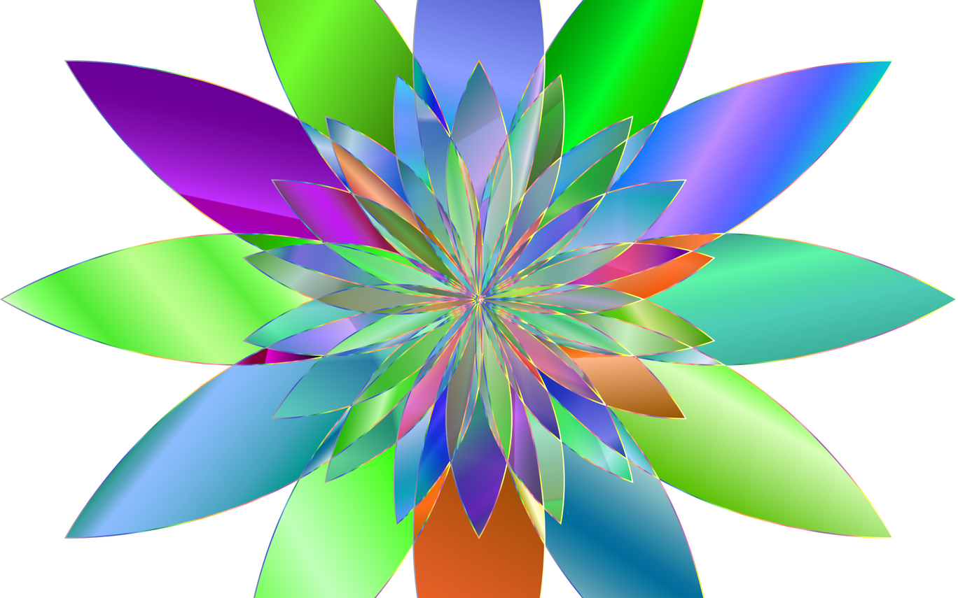 Flower Banner Free Library No Background Techflourish Clipart (1368x855), Png Download