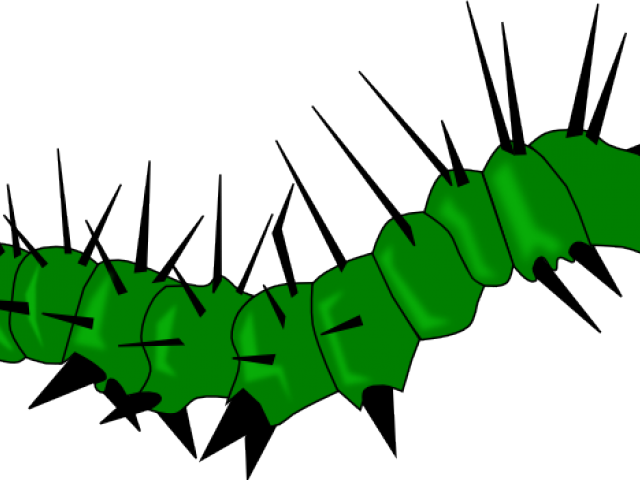 Caterpillar Clipart Caterpillar Leg - Png Download (640x480), Png Download