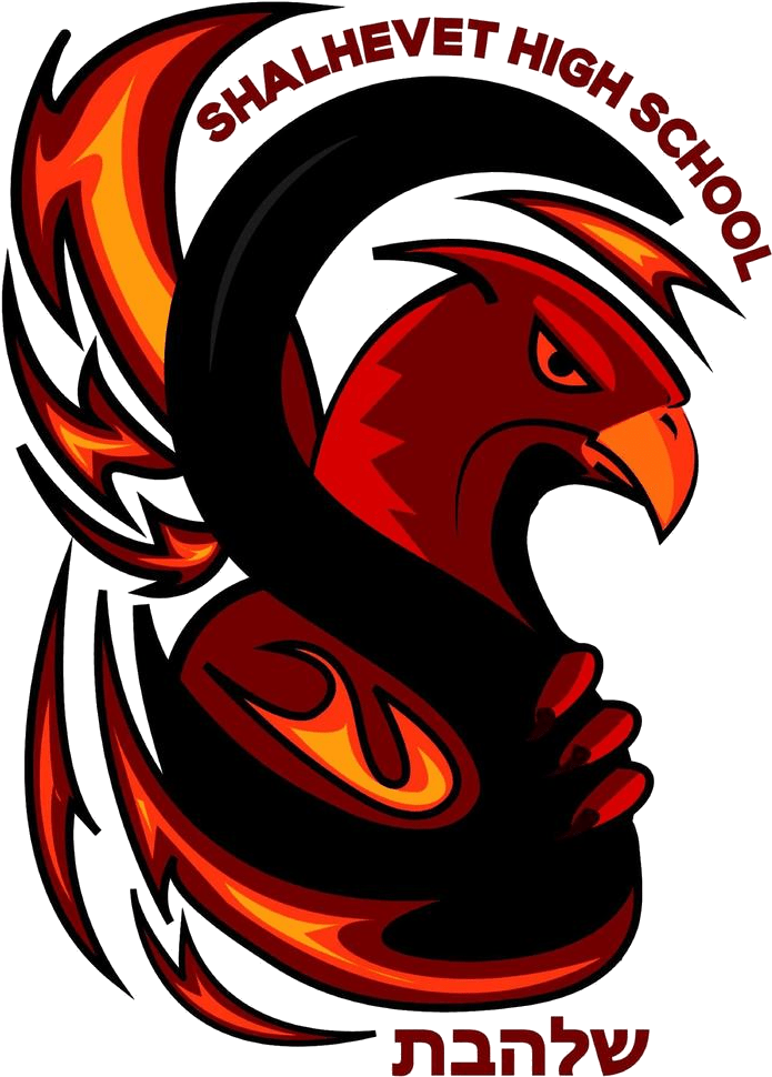 Shalhevet Firehawks Girls Clipart (1012x1012), Png Download