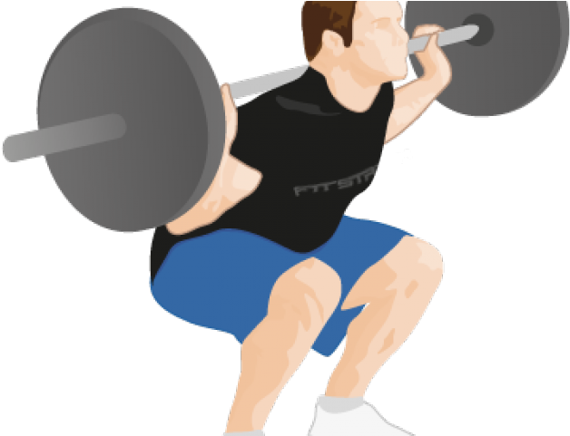 Weight Plates Clipart Squat - Png Download (640x480), Png Download