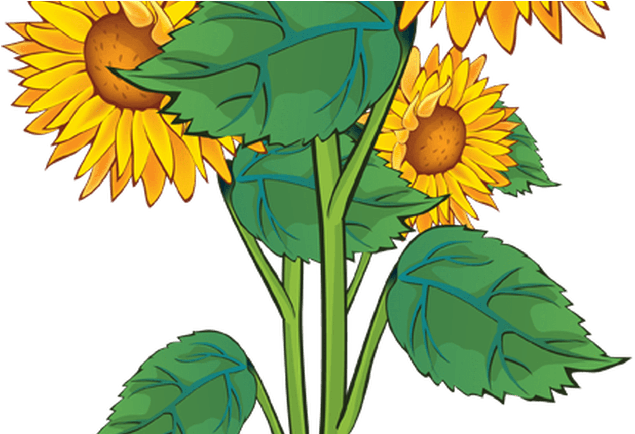 Summer Flower Border Clip Art Free Gardening Flower - Png Download (1368x855), Png Download