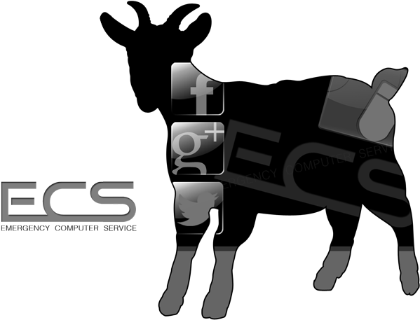 Business-card Clipart (675x465), Png Download
