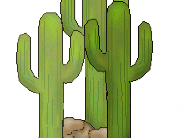 Cactus Clipart Saguaro - Png Download (640x480), Png Download