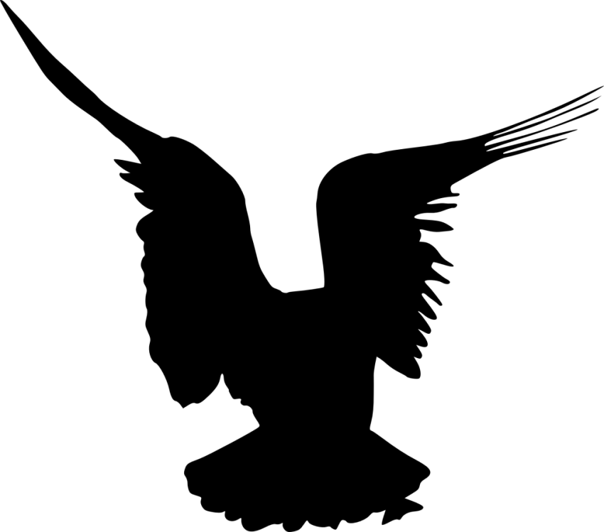 Bird Silhouette Clipart (800x705), Png Download