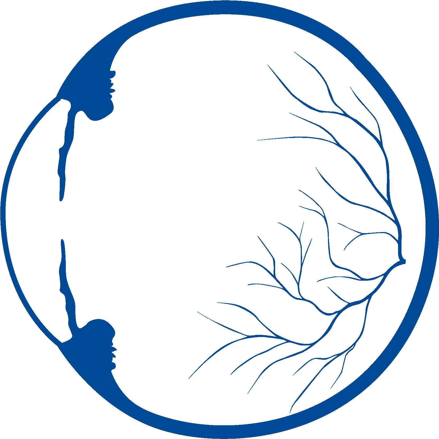 Retinal Genetic Diagnosis Research Education Clipart (1772x1772), Png Download