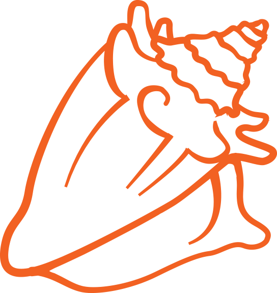 Destiny-shell Clipart (544x575), Png Download