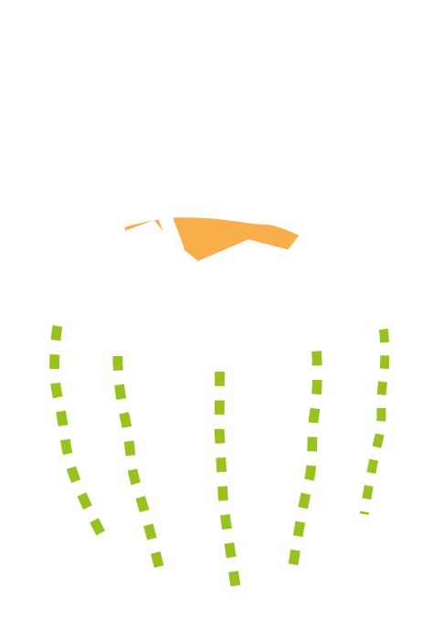 60ml Coconut Water Clipart (775x807), Png Download