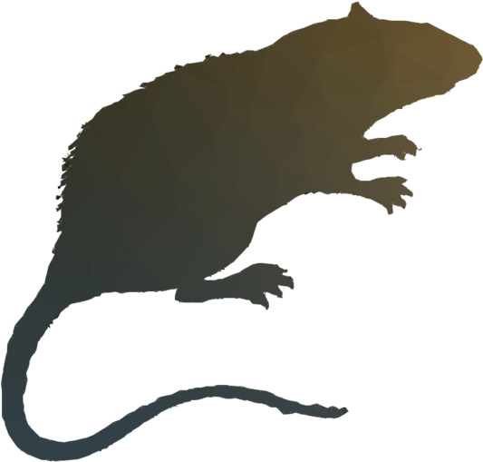 Rat Clipart Rat Wild Boar Duck - Png Download (900x900), Png Download