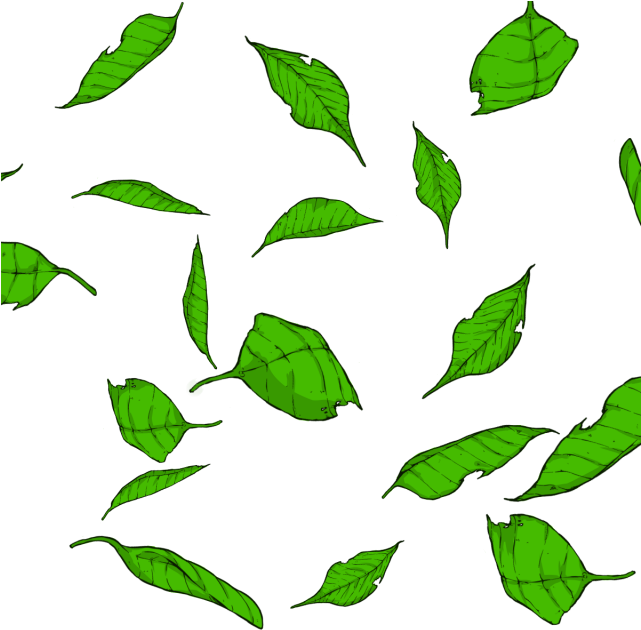 Hojas Dibujos Animados Archivo Clipart (640x640), Png Download