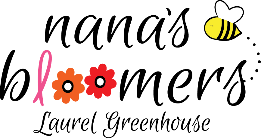 Nana's Bloomers Clipart (867x459), Png Download