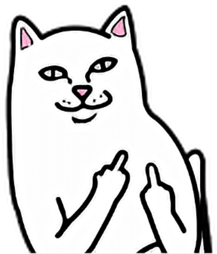 Cat White Fuck You Off Fuckyou Fuckoff Middle Finger Clipart (1024x1024), Png Download