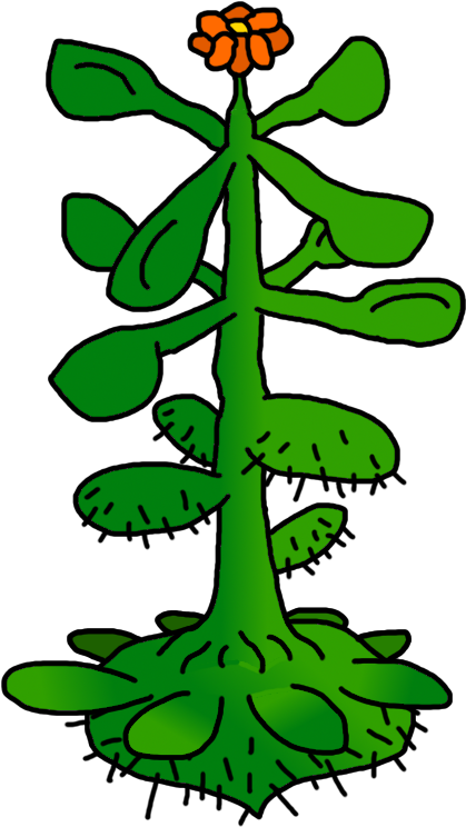 Cactus In A Candy Shop Clipart (500x800), Png Download