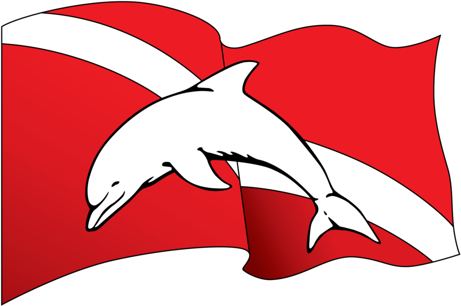 Birthday Gift Cards Clipart (1024x738), Png Download