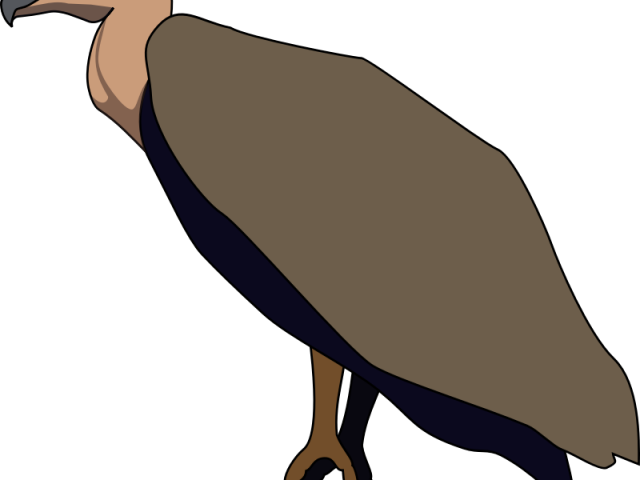 Vulture Clipart Transparent - Png Download (640x480), Png Download